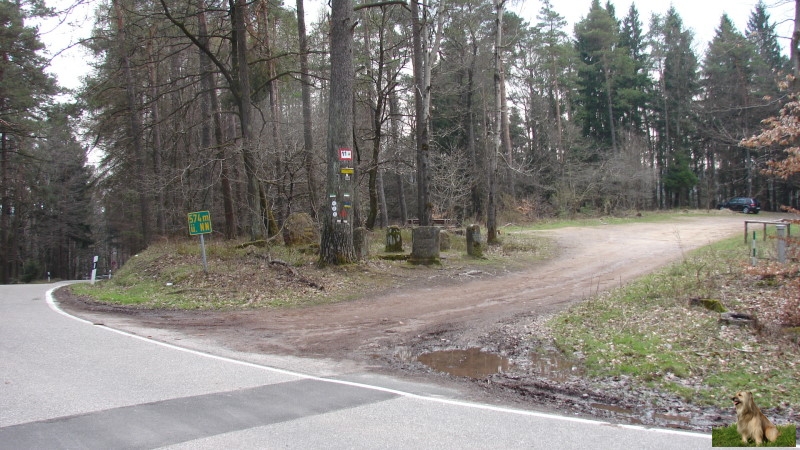 Ritterstein Nr. 238-8 Lolosruhe - Fünf Steine.JPG - Ritterstein Nr.238 Lolosruhe - Fünf Steine